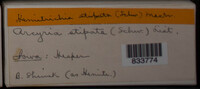 Image Associated With the Occurence